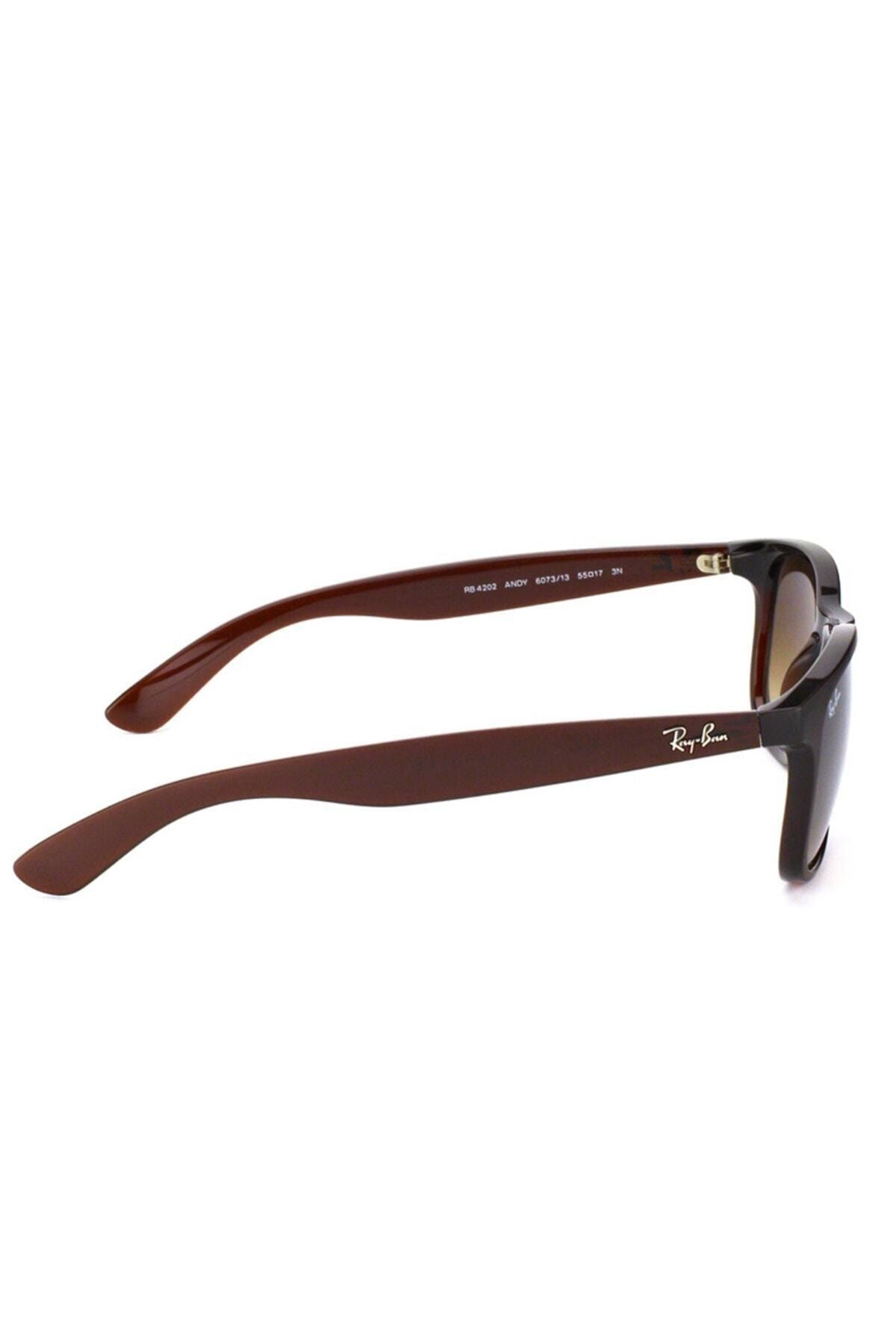 Ray-Ban Güneş Gözlüğü RB4202 55 607313 - Görsel 2