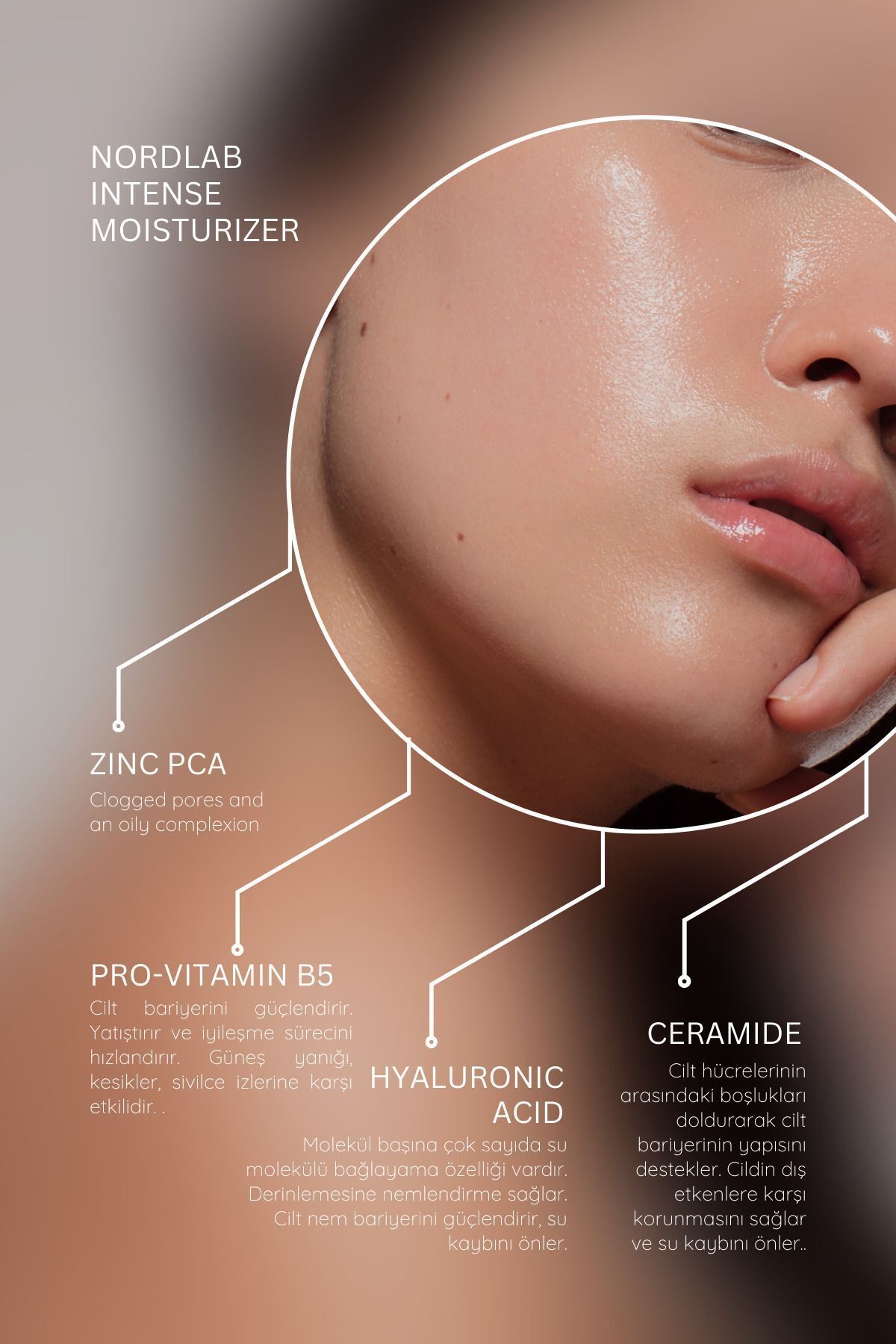 NORDLAB Yoğun Nemlendirici Yüz Bakım Kremi Tüm Cilt Tipleri Için Hyaluronic Acid Ceramide Zinc Shea Butter - Görsel 3