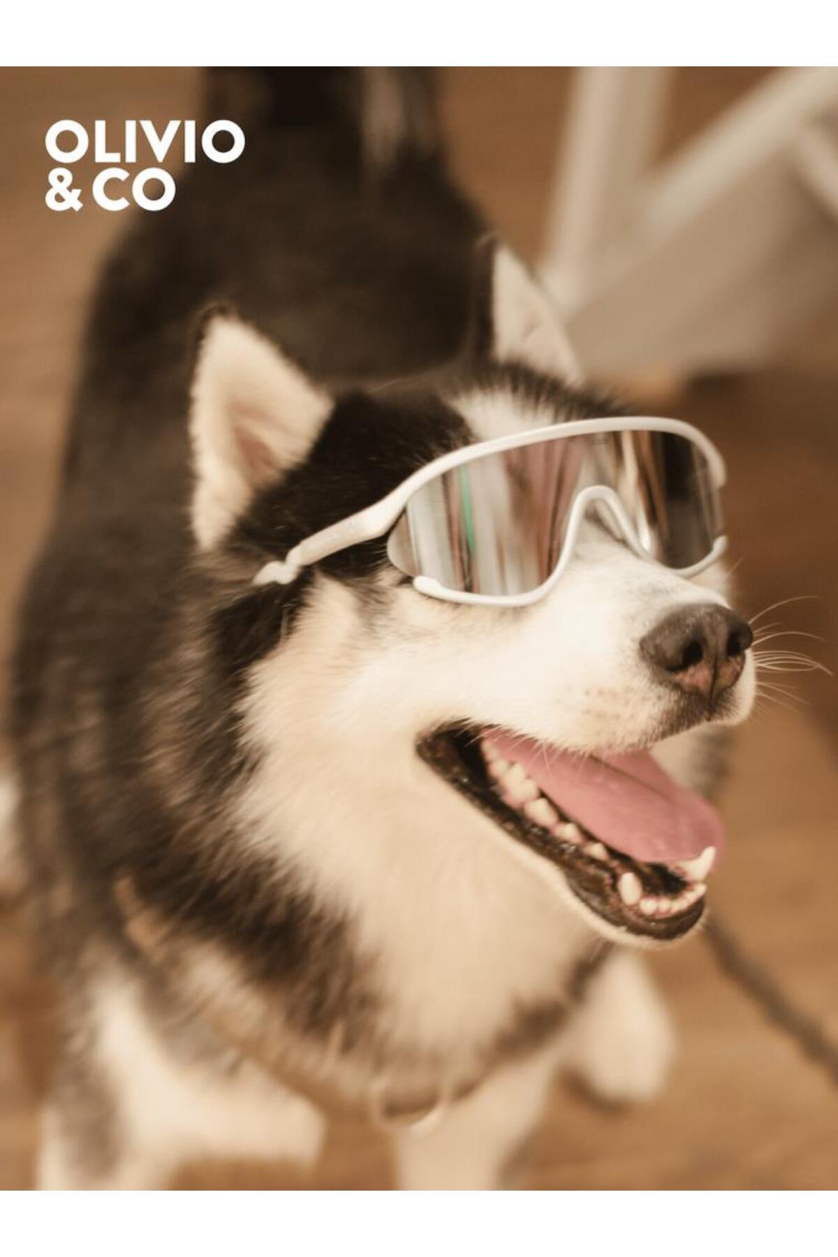 ToysAll Olivio&Co Sport Tam Çerçeveli Yetişkin Güneş Gözlüğü - Space Silver - Görsel 3