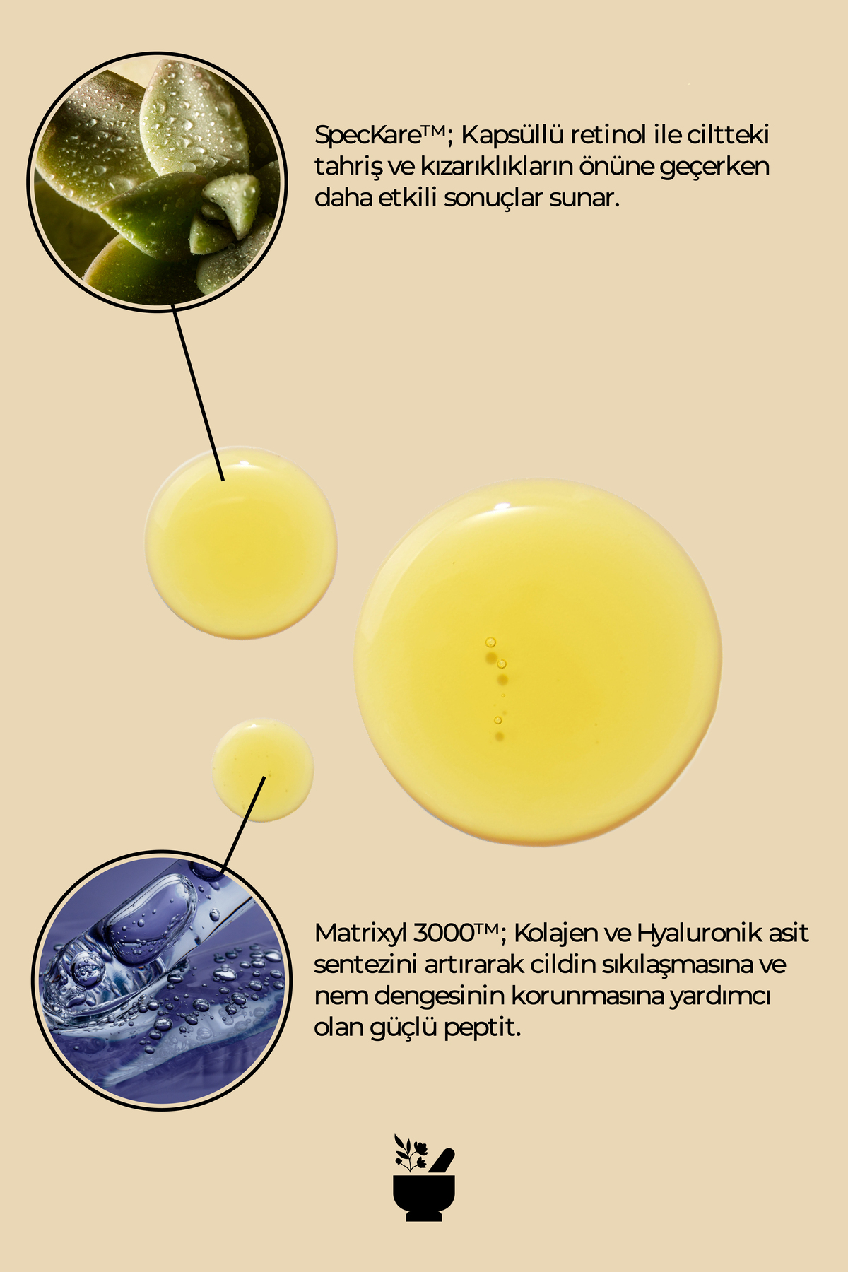 COSMED %0.5 Retinol ve Peptit İçeren Yenileyici Serum/%0.5 RETINOL SERUM 15 ML - Görsel 3