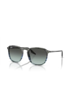 Ray-Ban RB 2203 1391GK 55 Unisex Güneş Gözlüğü