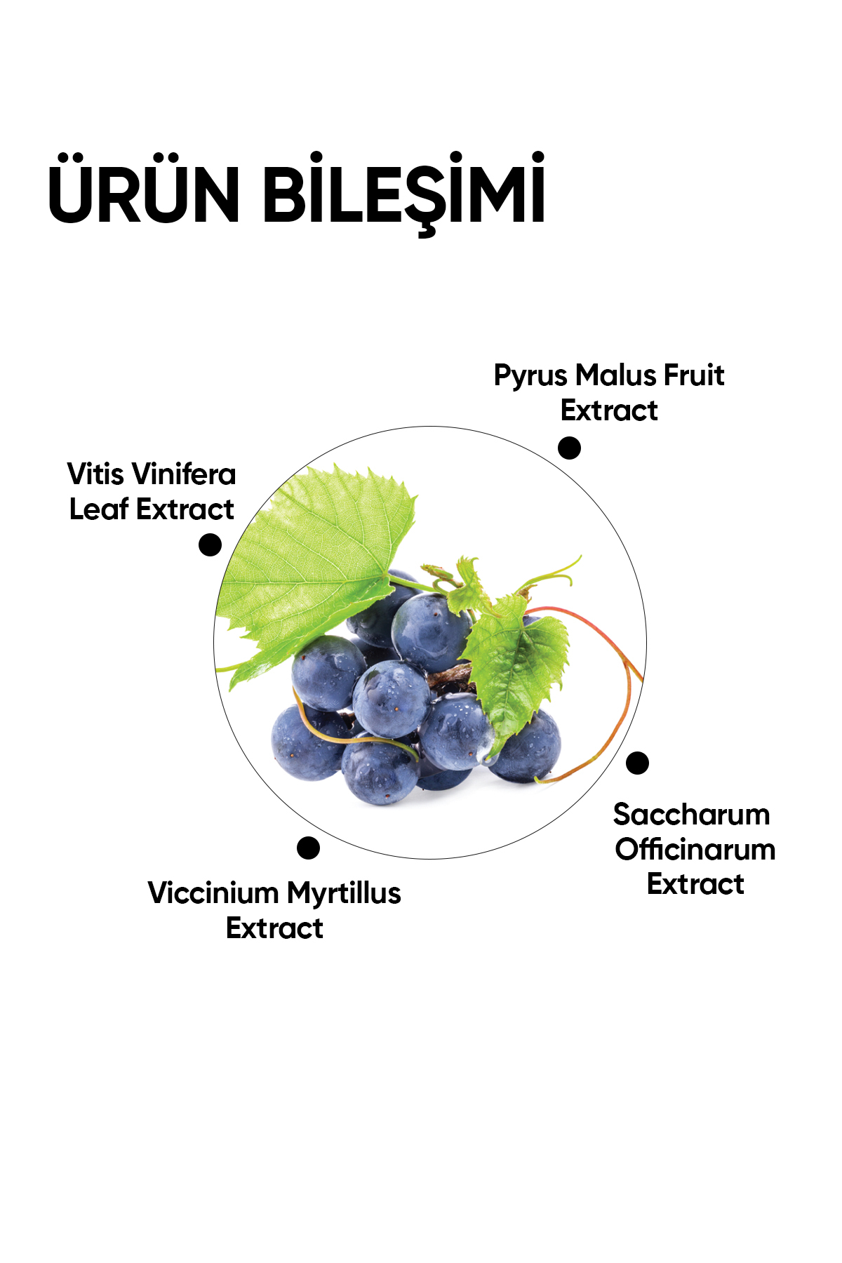 mineaderm Smoothing Aha Bha Toner / Pürüzsüzleştirici Aha Bha Tonik - Görsel 3