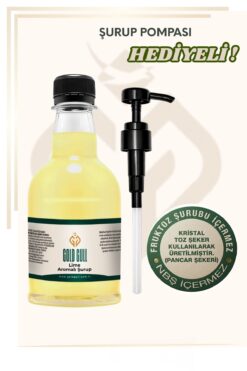 gold gull Lime (Yeşil Limon) Aromalı Kahve ve Meyve Şurubu 300 ml.