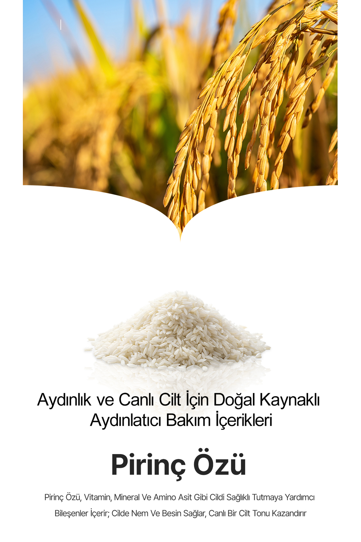 byeolee Tekli 1 Adet Pirinç Özlü Retinol CB50 Pancar Elma Havuç Özlü Canlılık Ve ışıltı Veren Kore Yüz Maske - Görsel 2