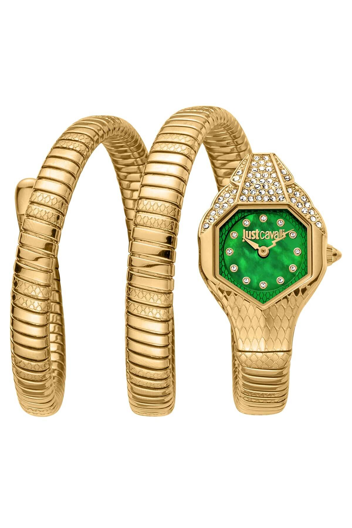 Just Cavalli JC1L193M0035 Kadın Kol Saati