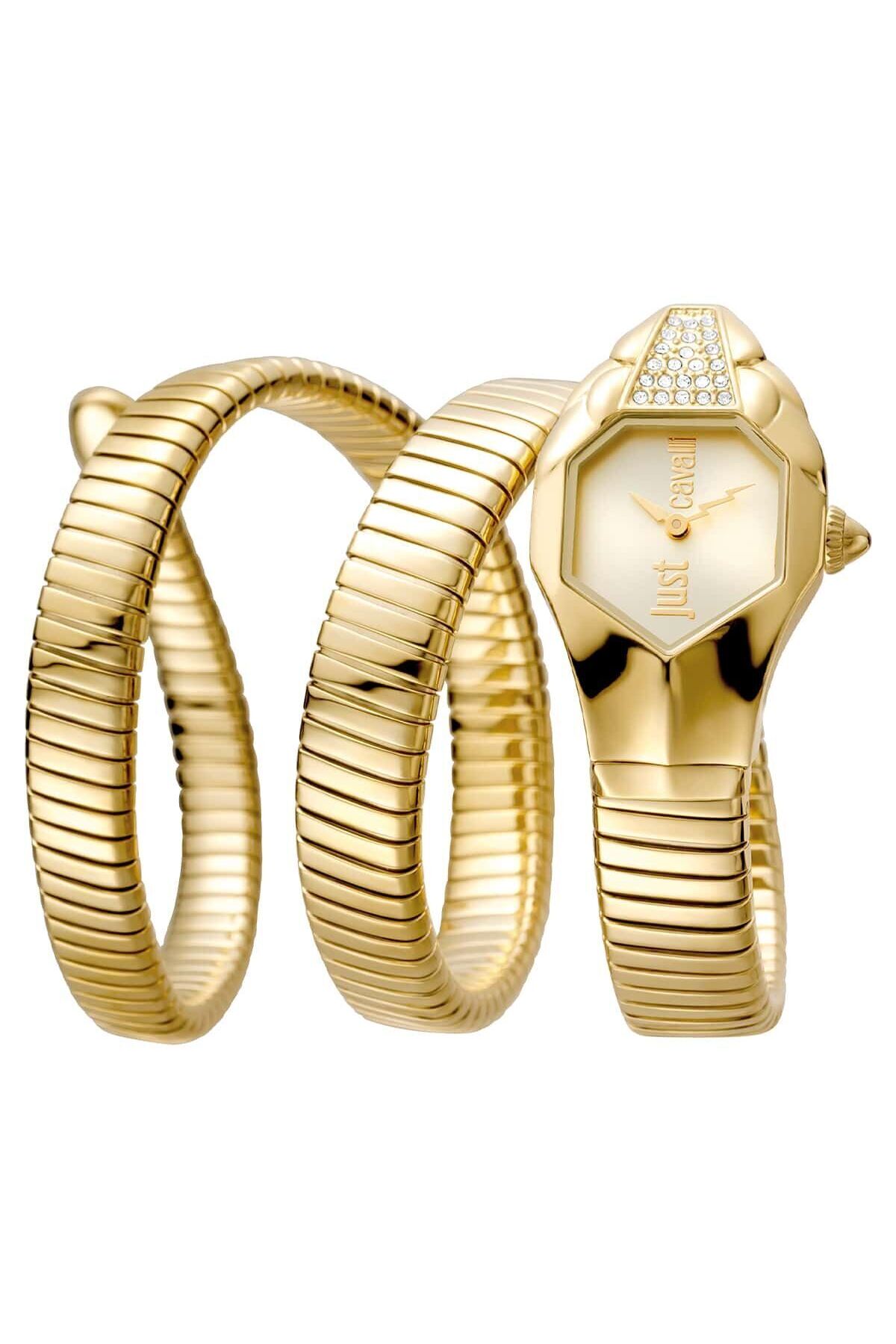 Just Cavalli JC1L022M0025 Kadın Kol Saati