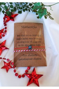 DENİZDENAL Marteniçka Hediye Dilek Bilekliği