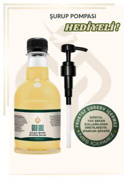 gold gull Ginger Bread Aromalı Kahve & Meyve Şurubu 300 ml.