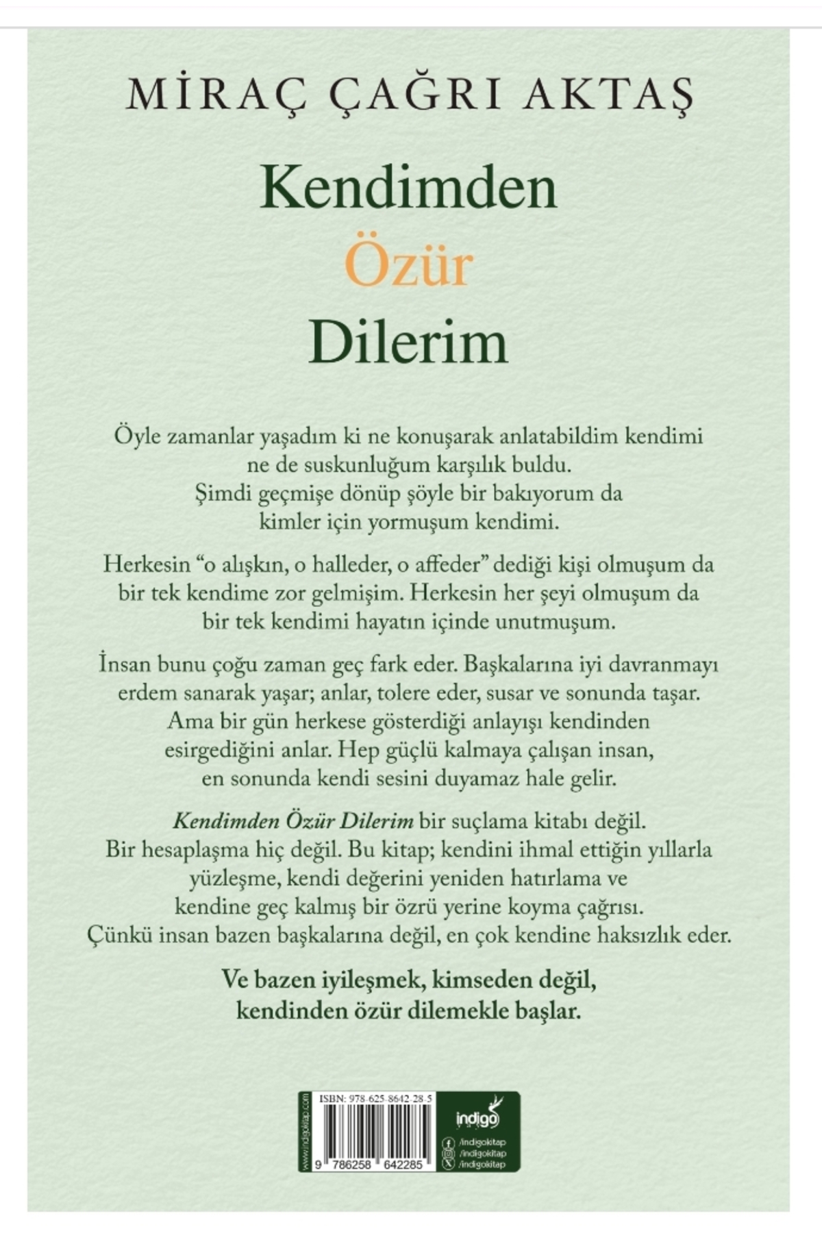 İndigo Kitap Kendimden Özür Dilerim Miraç Çağrı Aktaş Gnydkkn - Görsel 2