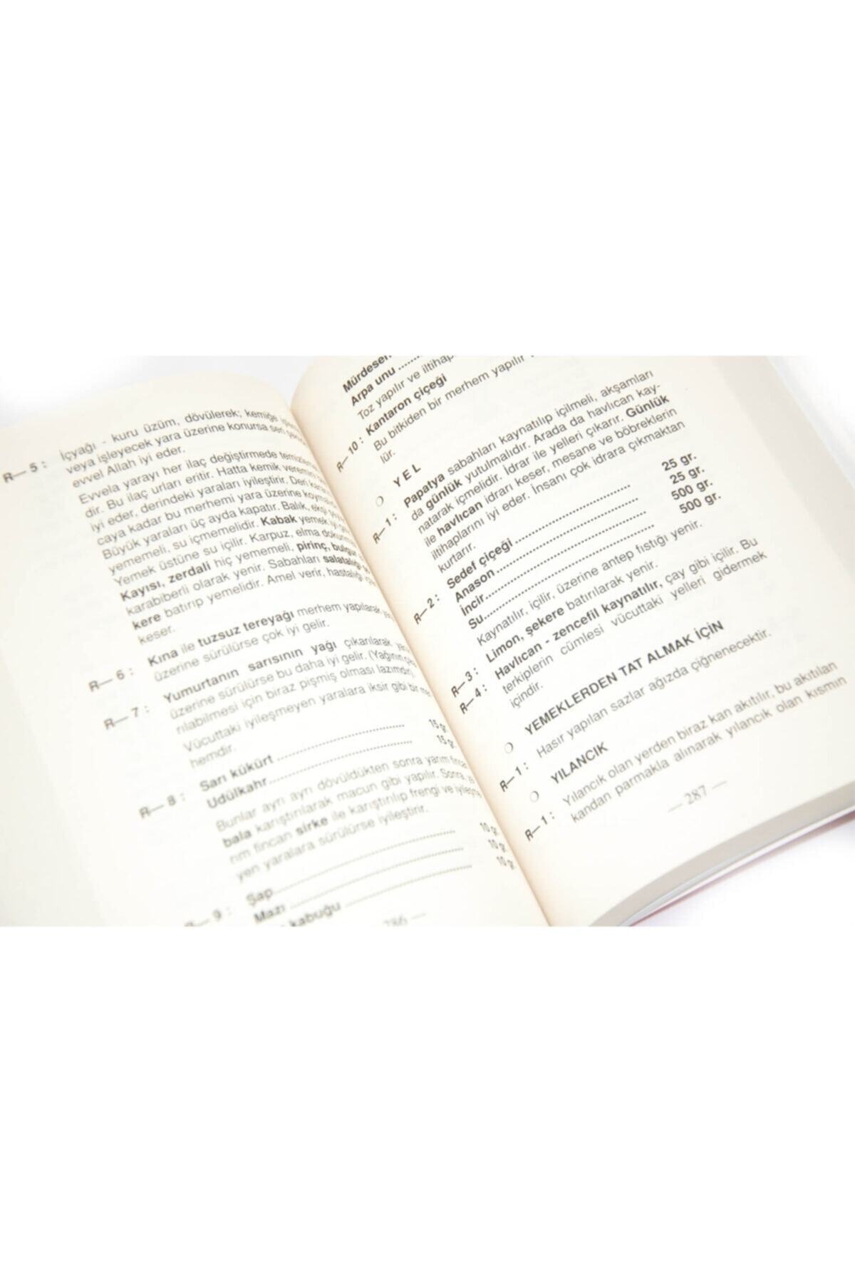 Pamuk Yayıncılık Hastalıksız Uzun Ömür İçin Şifalı Bitkiler Ve Emraz- Arif Pamuk - Görsel 3