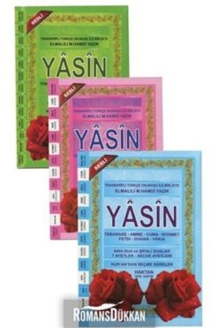 Haktan Yayın Dağıtım Yasin Türkçe Okunuşlu Orta Boy Renkli