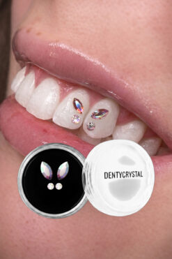 DENTYCRYSTAL Diş Pırlantası Kelebek AB Desenli (Avusturya Kristallerinden Oluşturulmuş Özel Set )