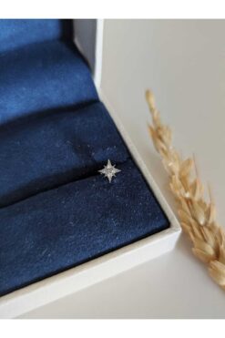 SU PERİSİ TAKI BİJUTERİ Cerrahi Çelik Gümüş Zirkon Taşlı Kuzey Yıldızı Piercing , Tragus