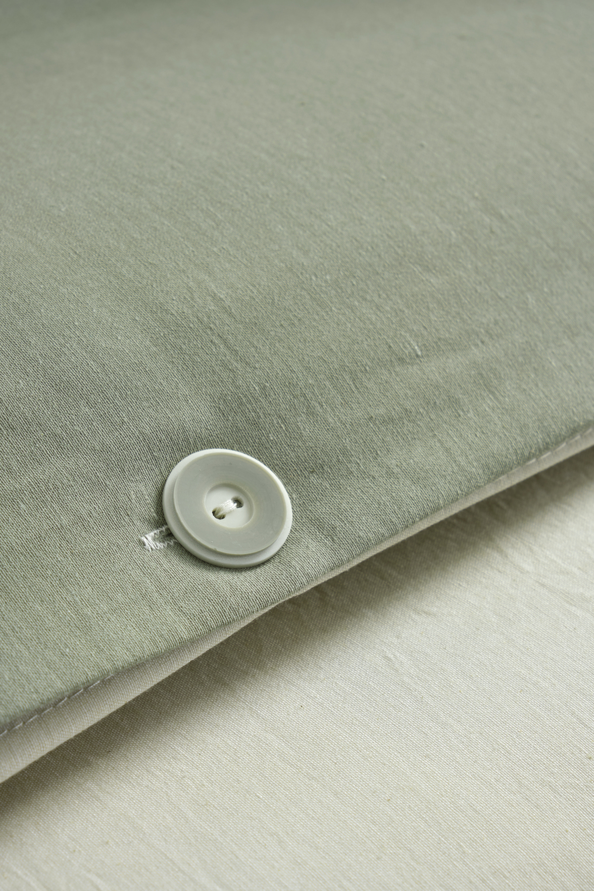 VENICA MASCUSE Ranforce Tek Kişilik Lüx Nevresim Takımı (Lastikli Çarşaf) - Görsel 3