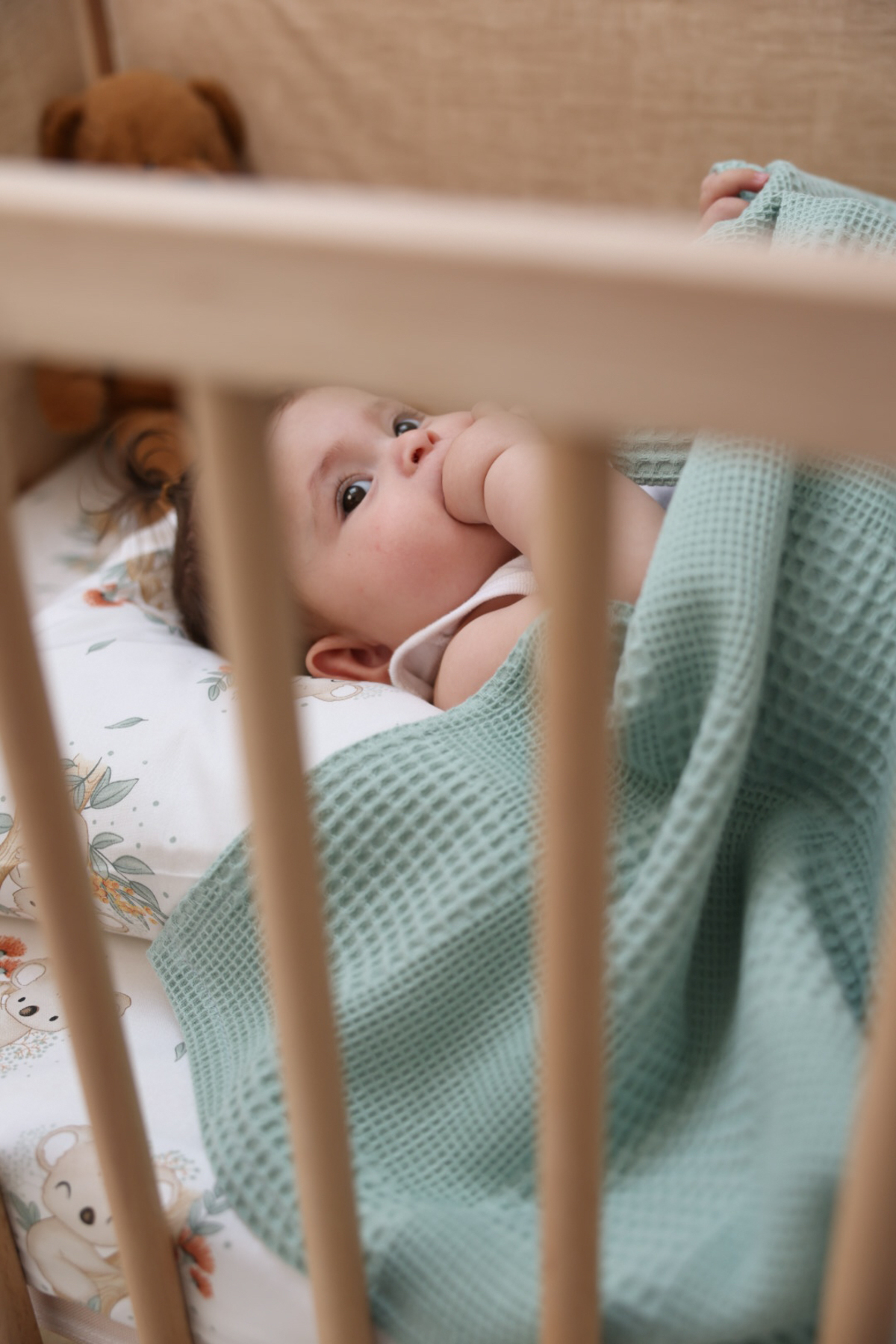 MİLNA BABY&KİDS Bebek Çocuk Pike Takımı Koala Desenli 90x140 - Görsel 2