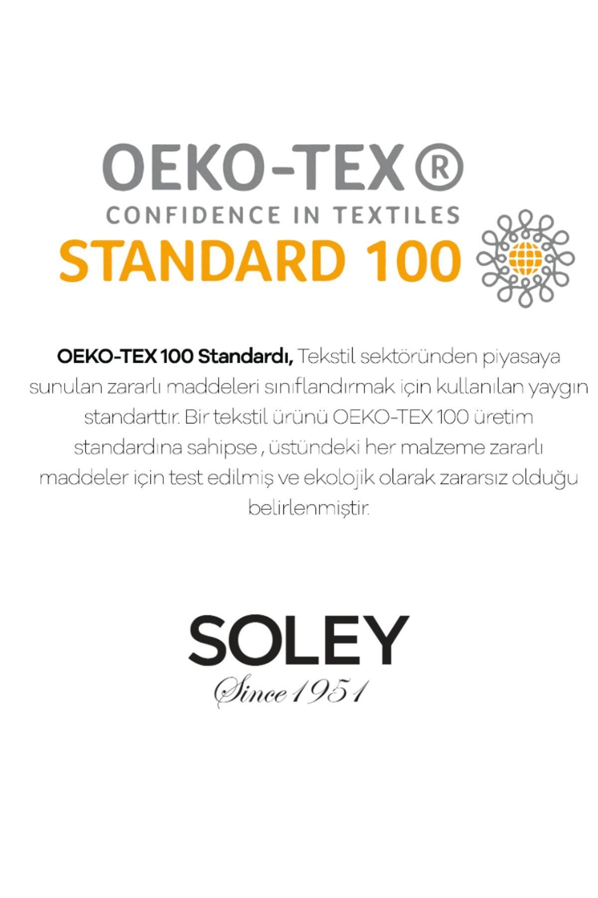 Soley | Minerva | %100 Pamuk 4'lü Misafir / Mutfak Havlusu Seti - Görsel 2