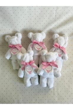 S&R 5 Adet Bebek Hediyelik Ayıcık Görünümlü Havlu Hastane Çıkış Yenidoğan Hediyelik Pembe