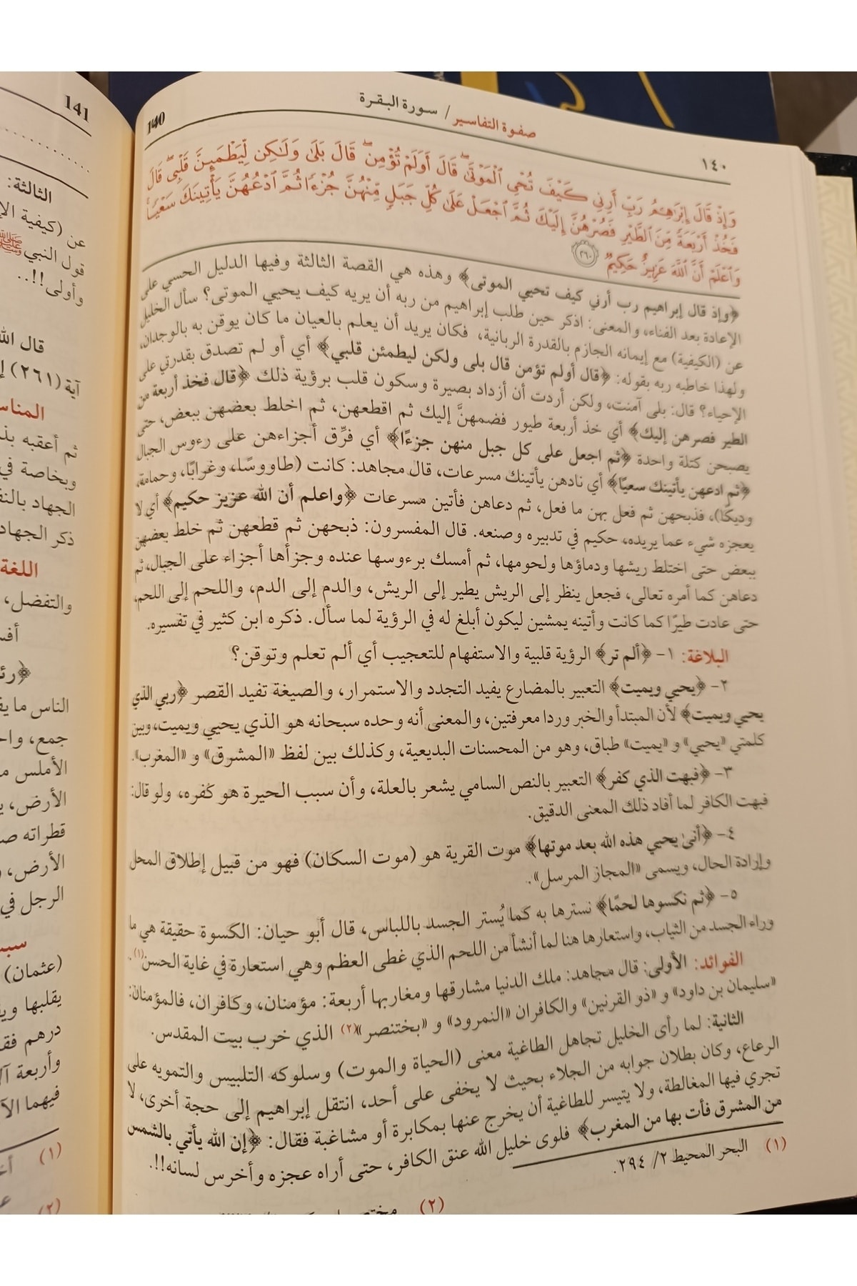 Arapça Kaynak Yayınları Safvetü't Tefasir - Görsel 3