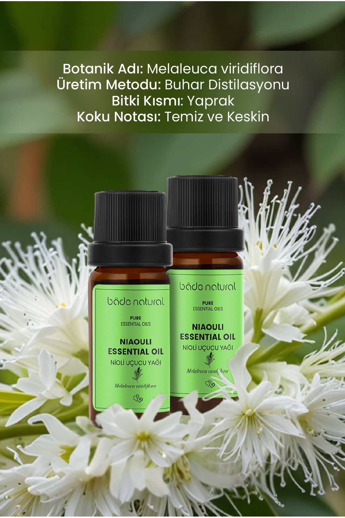 Bade Natural Nioli Uçucu Yağ %100 Saf 10 Ml - Görsel 3