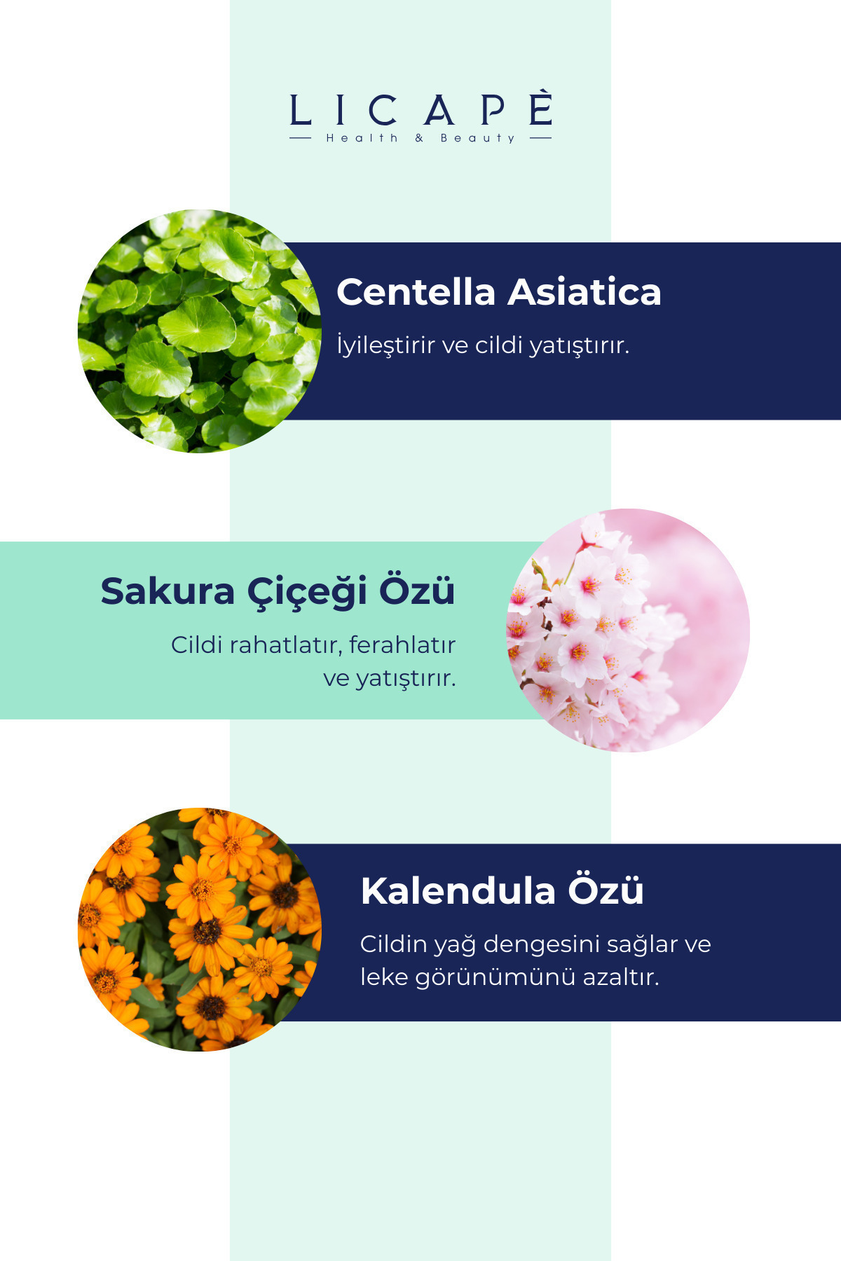 Licape Sakura Ve Centella Asitica Yüz Temizleme Köpüğü 150ml - Görsel 3
