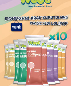 Wooc Super Premium Pet Treats Dondurularak Kurutulmuş Karışık Lezzetli Kedi Lolipop x 10 Adet