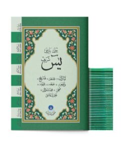 Hayrat Neşriyat 41 Yasin-i Şerif Cüzü Çanta Boy (BÜYÜK YAZILI)