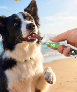 Reflex STICK KÖPEK-ÖRDEK&KAZ ETLI ÖDÜL 3X11GR. - Görsel 3