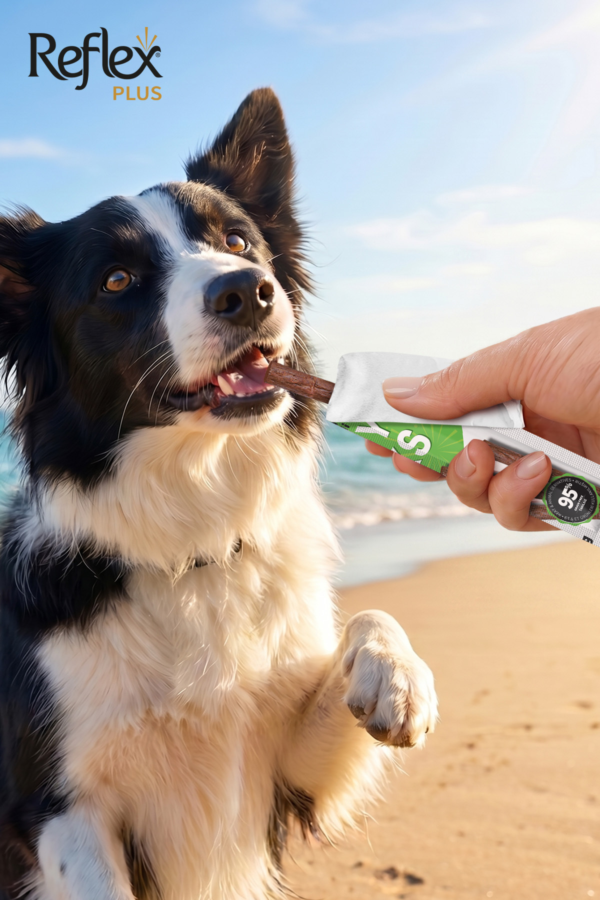 Reflex STICK KÖPEK-ÖRDEK&KAZ ETLI ÖDÜL 3X11GR. - Görsel 3