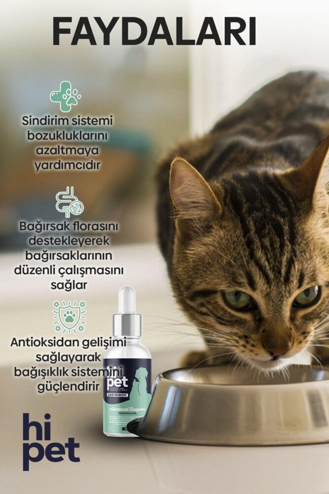HiPet Sıvı Probiyotik Kedi Probiyotik 50 ml. - Görsel 2
