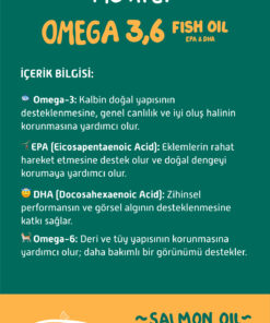 Metapet Kediler için Balık Yağı, Premium Norveç Somonu Yağı, Omega 3 ve 6, Yüksek EPA-DHA - Görsel 3