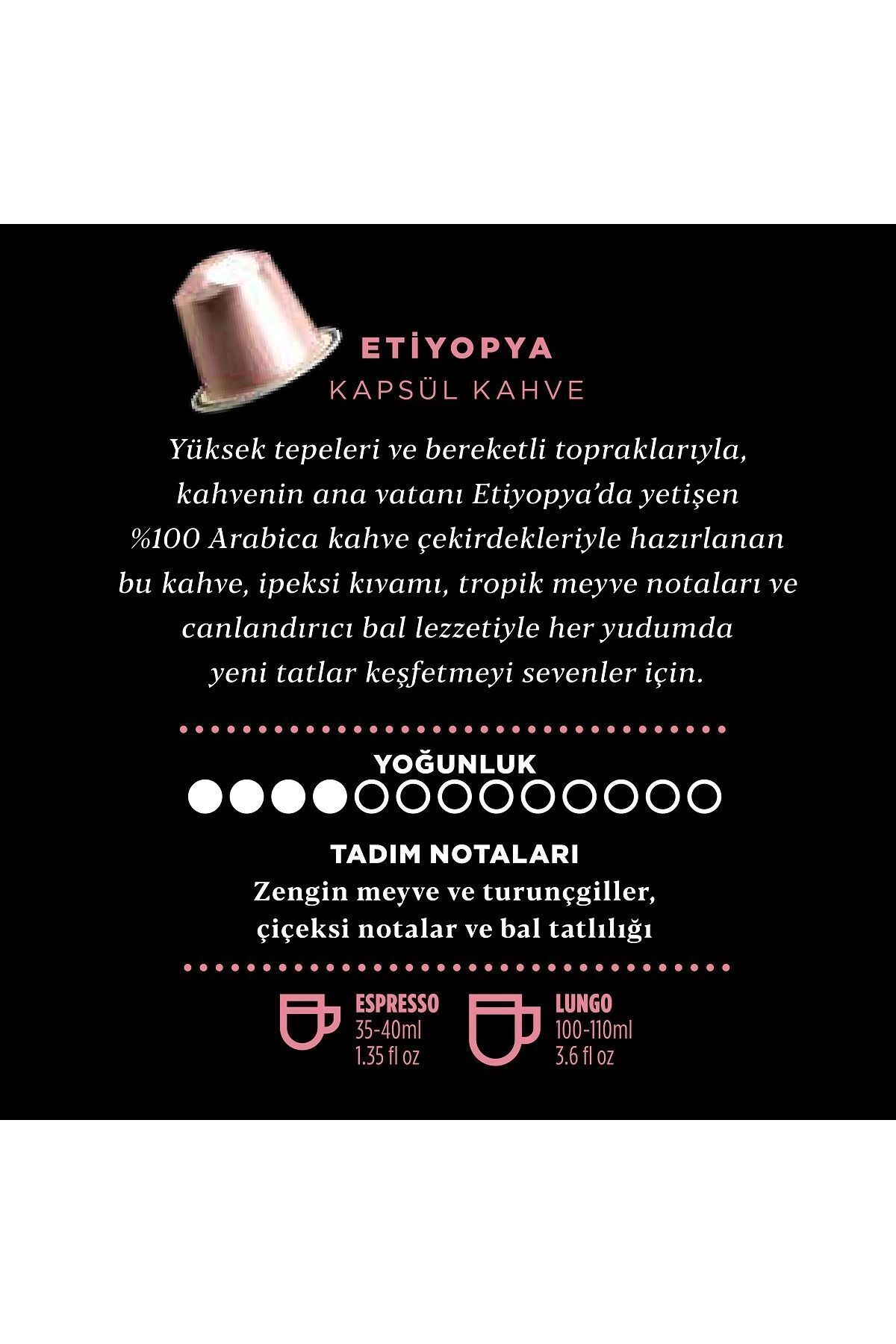 Kahve Dünyası KAPSÜL KAHVE ETİYOPYA 5GR*10 ADETLİ - Görsel 3