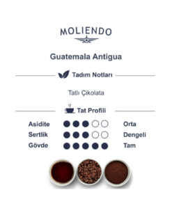 Moliendo Guatemala Antigua Yöresel Kahve (Çekirdek Kahve) 250 g - Görsel 3
