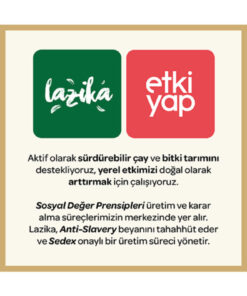 LAZİKA Hisli Harman Canfeza (Beije Çayı) 18'li PLA Poşet - Kırmızı Ginseng, Kakao, Hibiskus - Görsel 3