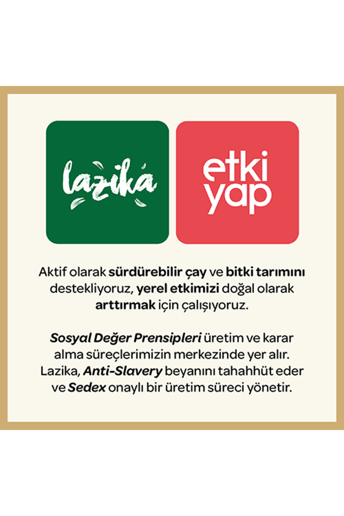 LAZİKA Hisli Harman Canfeza&Gençlik, Antioksidan Ve Enerji Çayı (Beije çayı) (18'li PLA Piramit Poşet) - Görsel 3