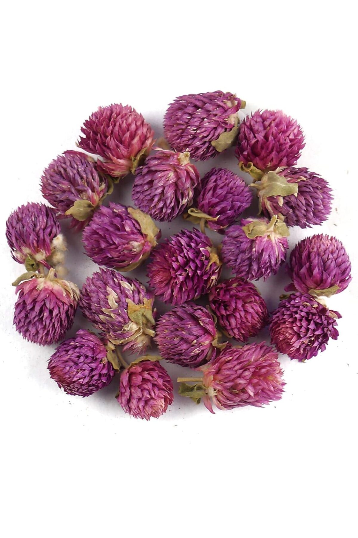 İLMİ ŞİFA Kızıl Yonca (Trifolium Pratense) Kırmızı Yonca Doğal Kurutulmuş Kırmızı Yonca Çayı 50 Gr