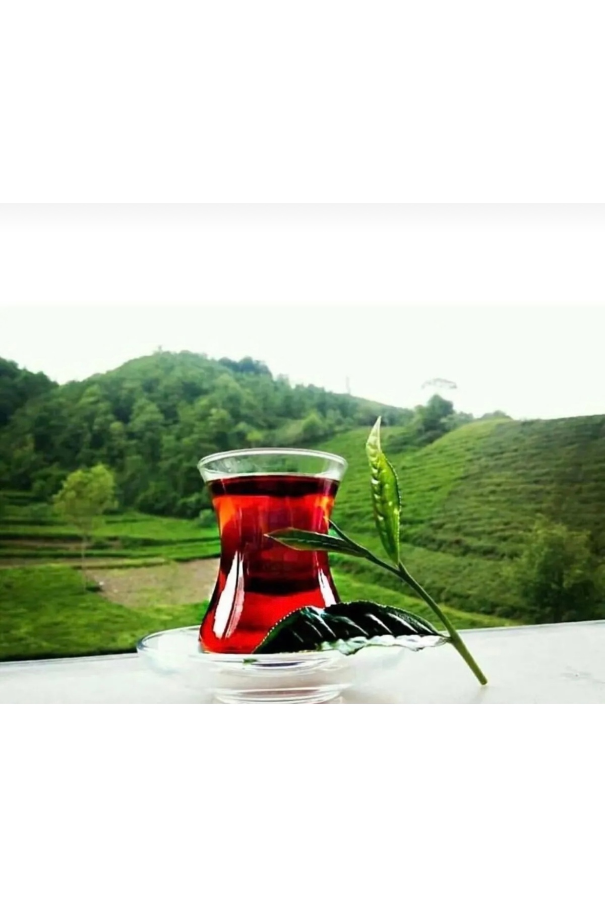 Ezberbozan Çay Ezberbozançay 2500 gr - Görsel 3
