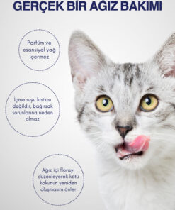 Veturel Ağız Ve Diş Bakım Spreyi 100ml Kedi Ağız Bakımı Köpek Ağız Kokusu Diş Eti Yarası Enfeksiyonu - Görsel 3