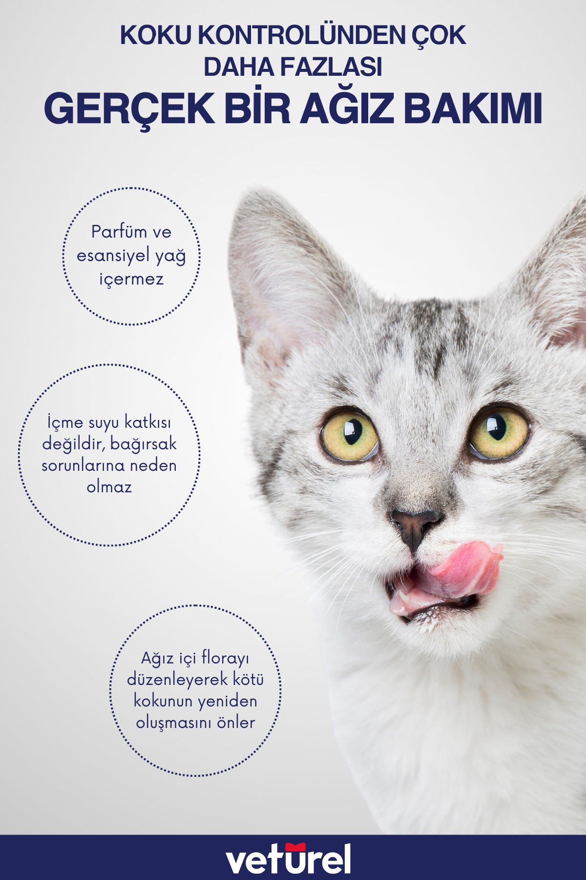 Veturel Ağız Ve Diş Bakım Spreyi 100ml Kedi Ağız Bakımı Köpek Ağız Kokusu Diş Eti Yarası Enfeksiyonu - Görsel 3