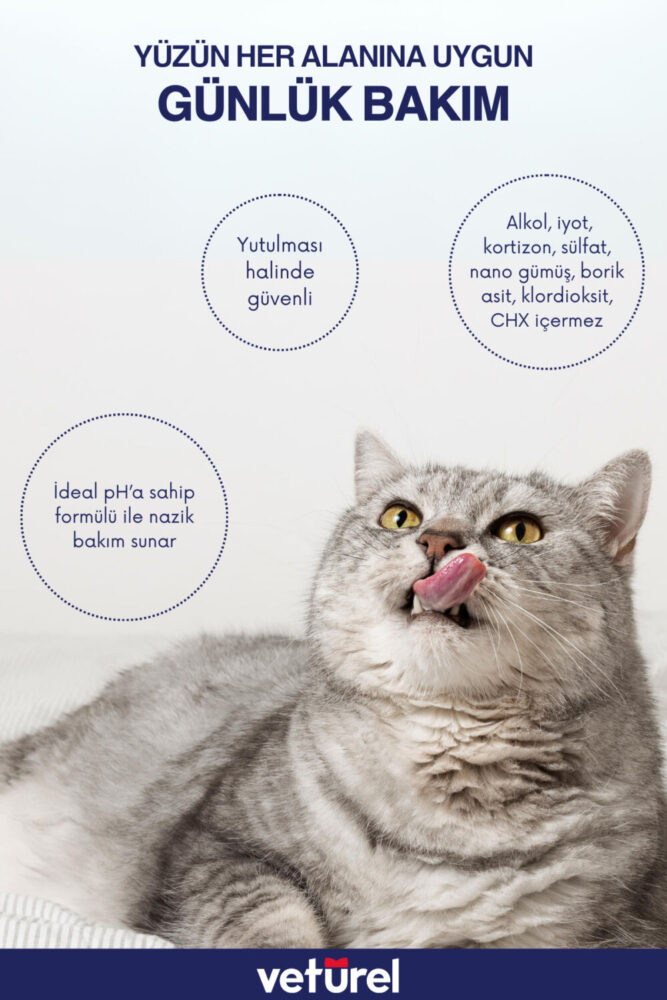 Veturel Kedi Yüz Temizleme Solüsyonu Kedi Aknesi Gözyaşı Lekesi Göz Damlası Akıntı Kaşıntı Bakımı 100ml - Görsel 3