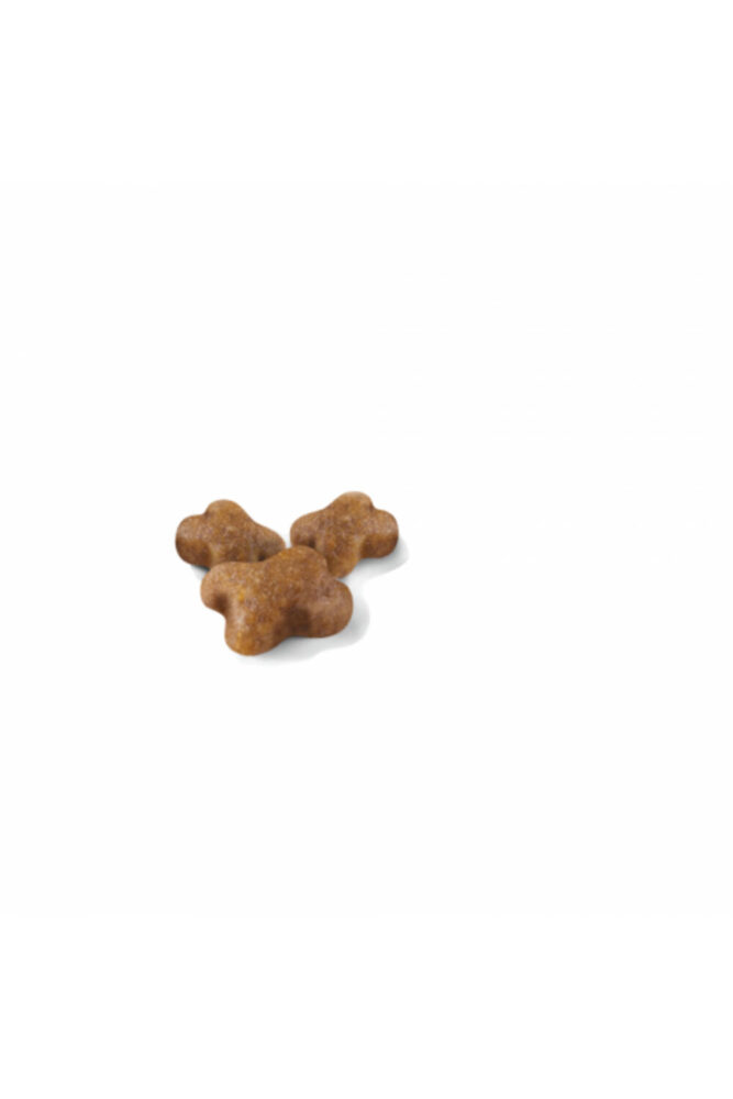 Royal Canin Kitten Yavru Kediler Için Kuru Kedi Maması 2kg - Görsel 2