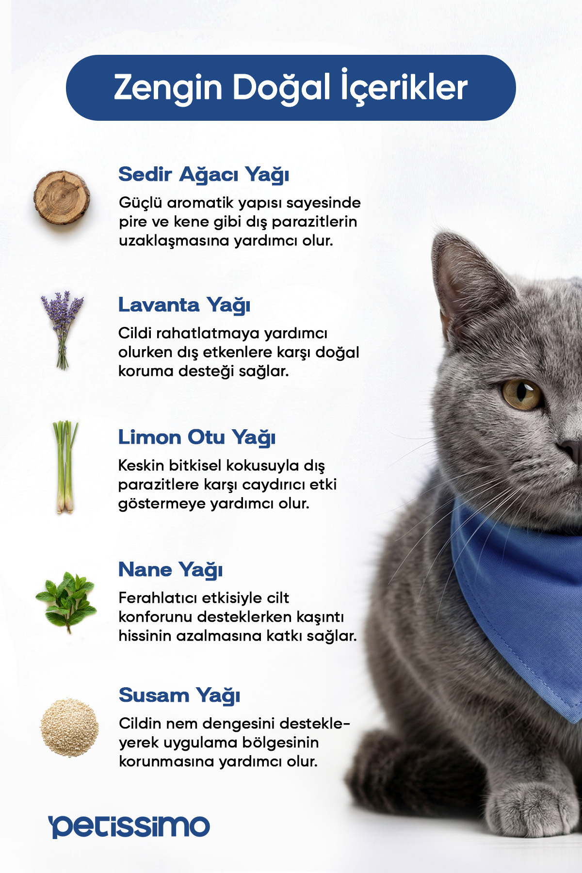 Petissimo Care Dış Parazit Ense Damlası – Kedi ve Köpek İçin Bit, Pire, Kene, Parazit Karşıtı Spot On Bitkisel Damla - 5 Tüp - Görsel 3
