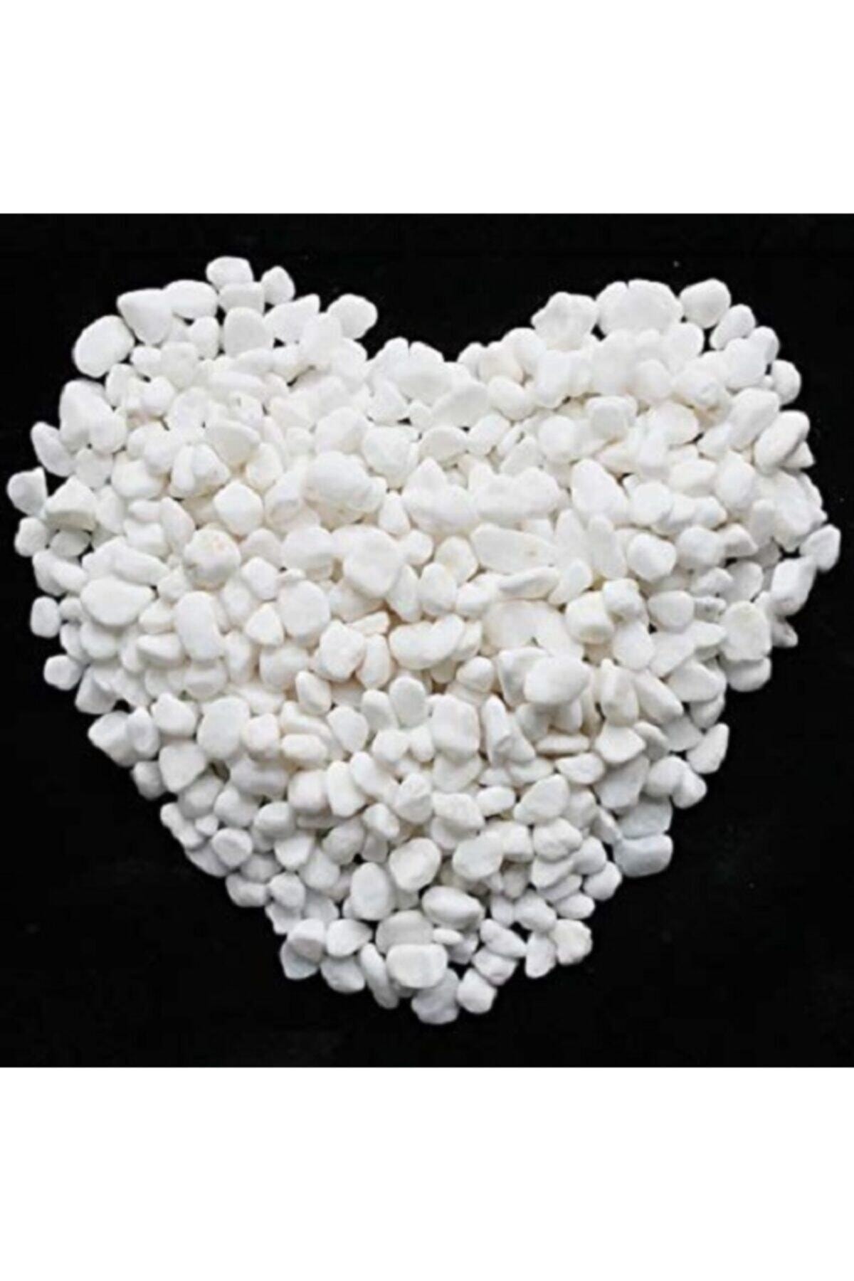 Genel Markalar Beyaz Dolomit Taş 5 Kg 1-2 Cm Dere Çakıl Taşı Saksı Taşı Akvaryum Teraryum Taşı Bahçe Taşı 20no.3m