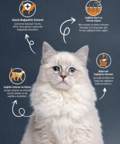 Alternative view of Reflex Strelised Somonlu Kısır Kedi Maması 10 Kg (GÖLGE AV)