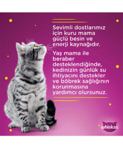 Whiskas Sığır - Tavuk - Somon - Ton Balıklı Karışık Yaş Kedi Maması 28 Adet 85 Gr. - Görsel 3
