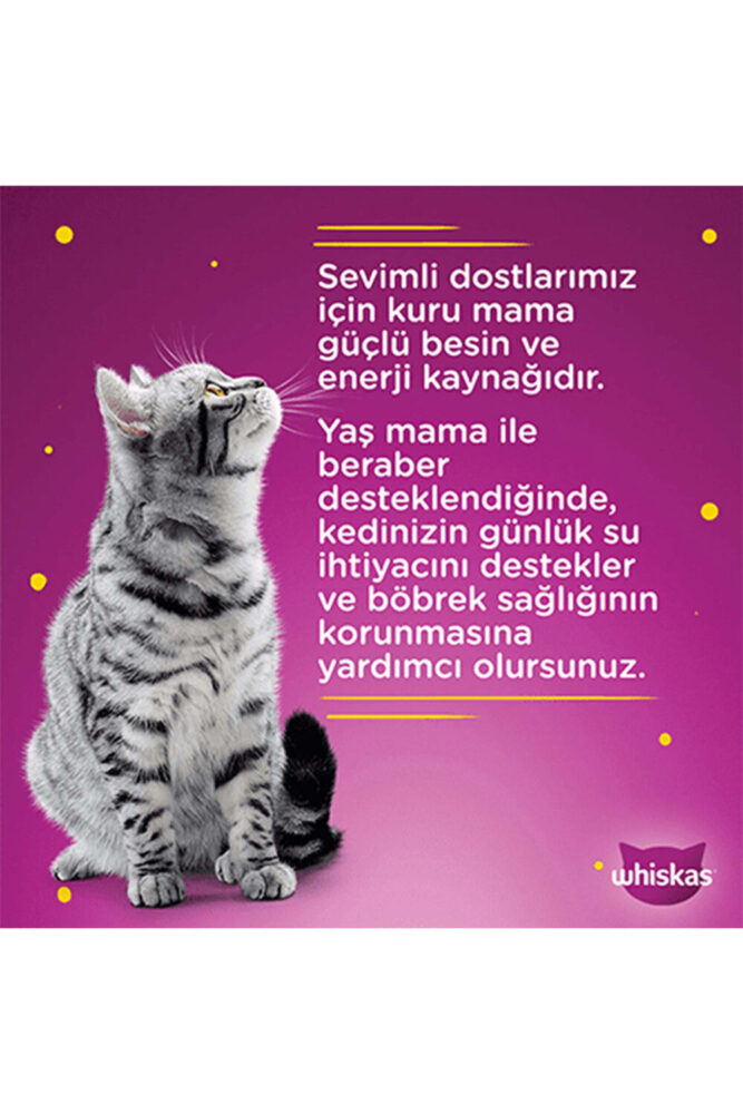 Whiskas Sığır - Tavuk - Somon - Ton Balıklı Karışık Yaş Kedi Maması 28 Adet 85 Gr. - Görsel 3