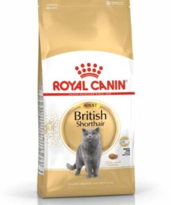 Royal Canin British Shorthair Adult Kedi Kuru Maması 2 Kg