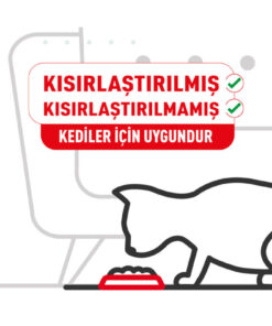 Alternative view of Royal Canin British Shorthair Adult Kedi Kuru Maması 2 Kg
