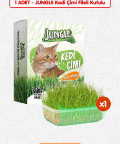 Jungle Özel Gübreli 0 Doğal Kedi Çimi Fileli ve Kutulu Tüy Yumağı Önleyici