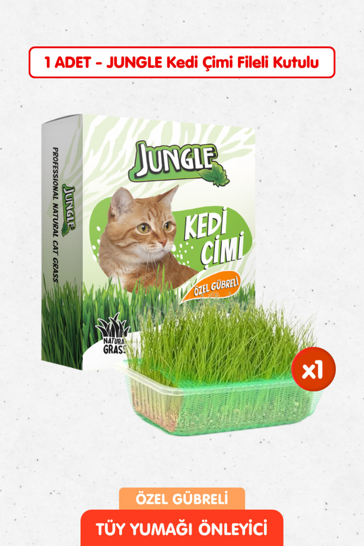 Jungle Özel Gübreli 0 Doğal Kedi Çimi Fileli ve Kutulu Tüy Yumağı Önleyici