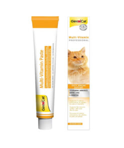 Gimcat Multi Vitamin Kedi Macunu 100 Gr